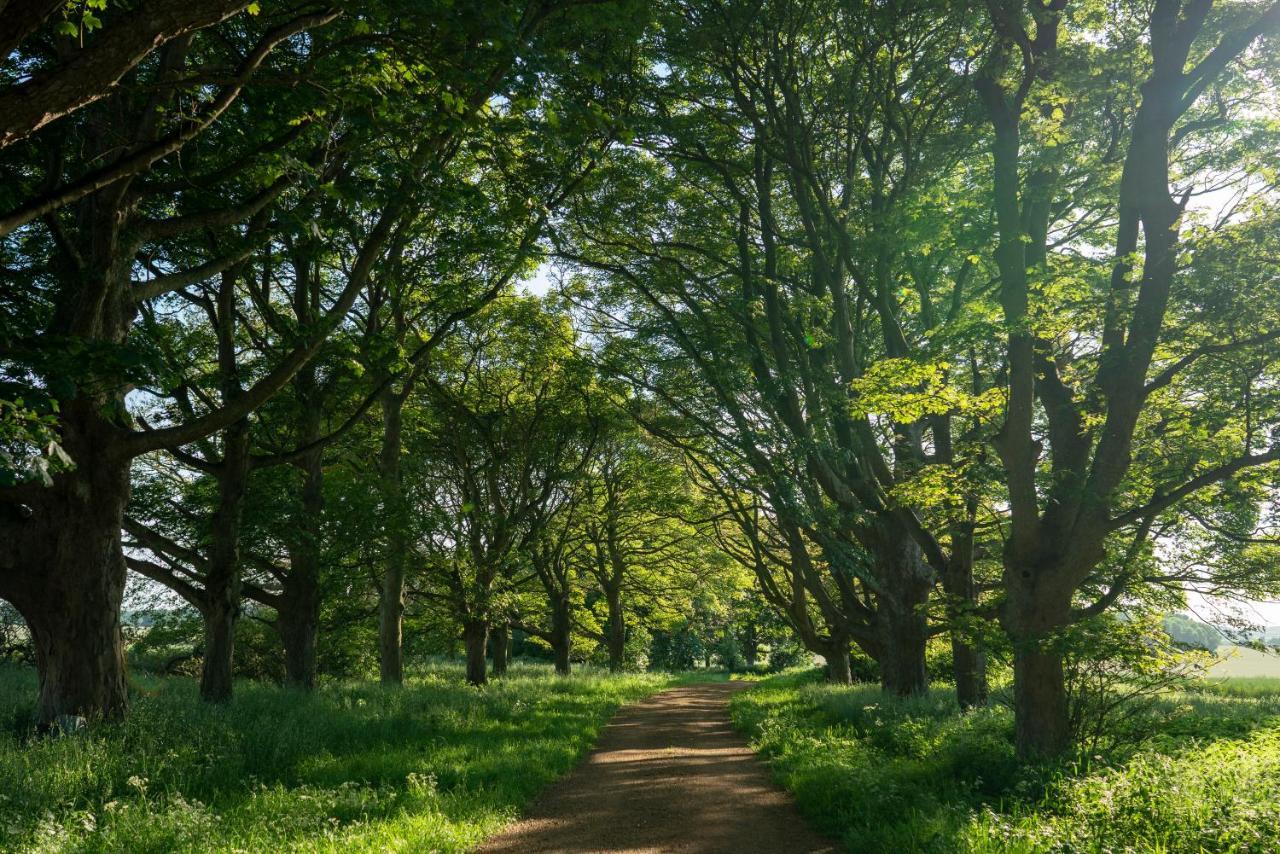 Wild Meadow, Lodge Farm, East Raynham Fakenham Exteriér fotografie
