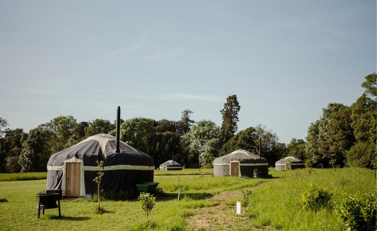 Wild Meadow, Lodge Farm, East Raynham Fakenham Exteriér fotografie