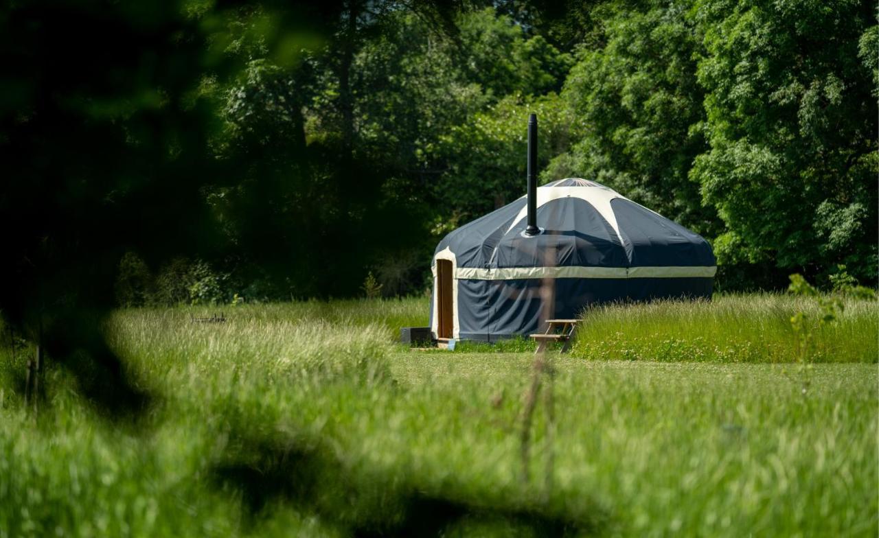 Wild Meadow, Lodge Farm, East Raynham Fakenham Exteriér fotografie