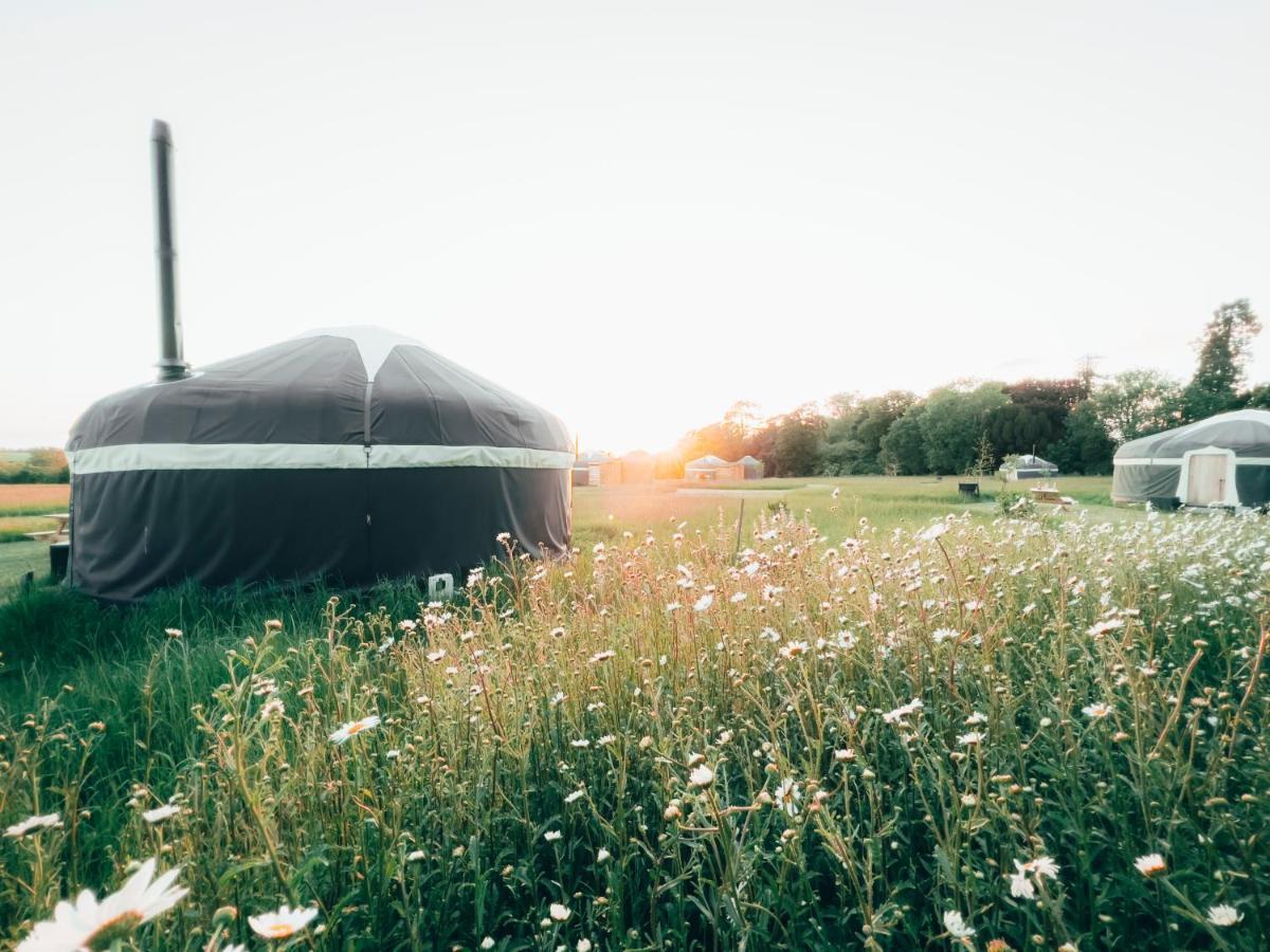 Wild Meadow, Lodge Farm, East Raynham Fakenham Exteriér fotografie