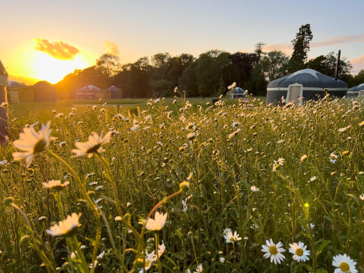Wild Meadow, Lodge Farm, East Raynham Fakenham Exteriér fotografie
