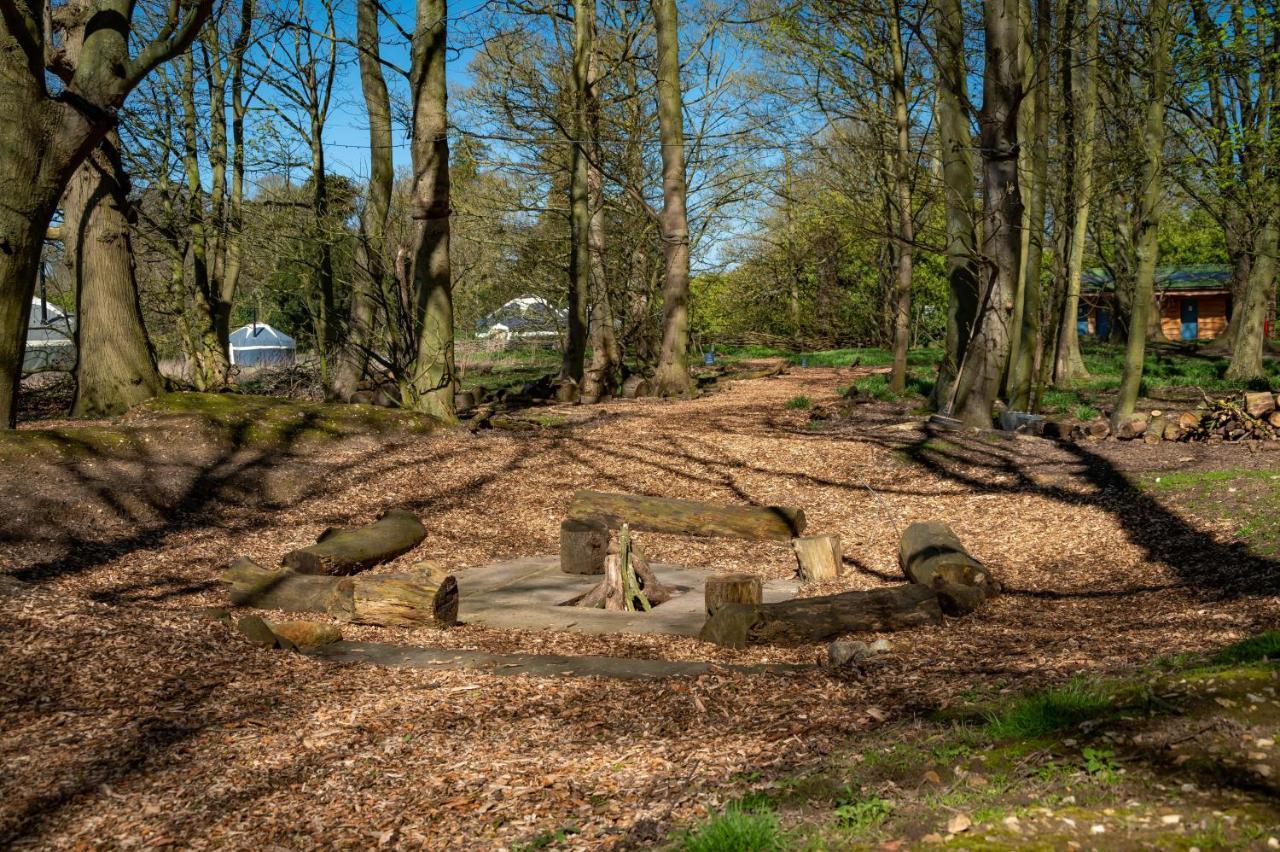 Wild Meadow, Lodge Farm, East Raynham Fakenham Exteriér fotografie